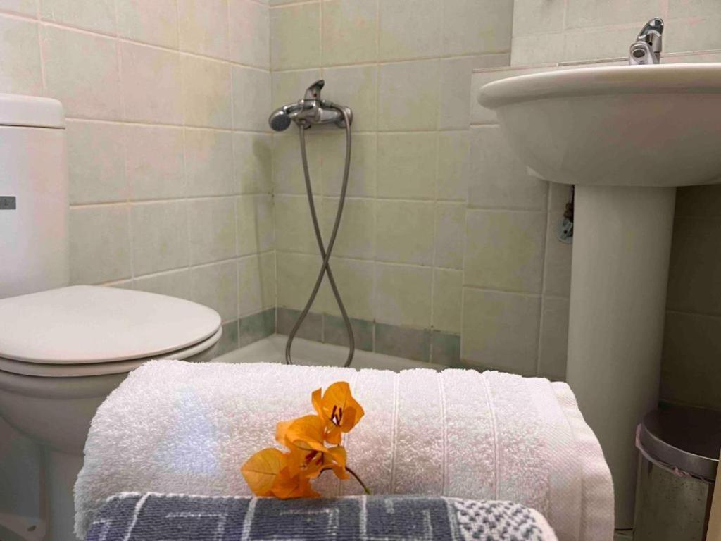 Kastro Aggeliki Apartment การ์ดามมีลี ภายนอก รูปภาพ